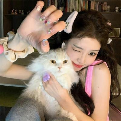 皇朝争霸之召唤群雄